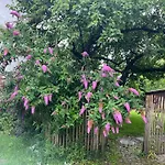 Landliebe * Höslwang