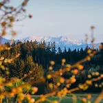 Landliebe