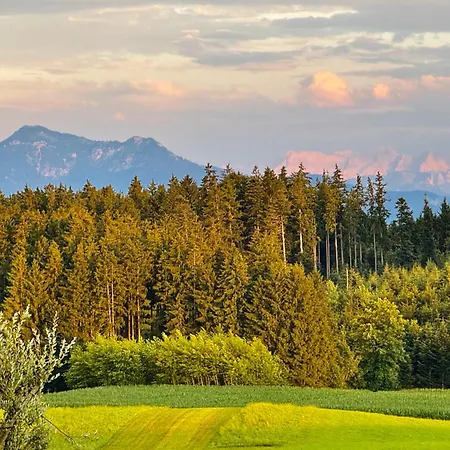 Chiemgauer Landliebe